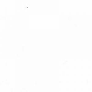 Standard Leather White.jpg